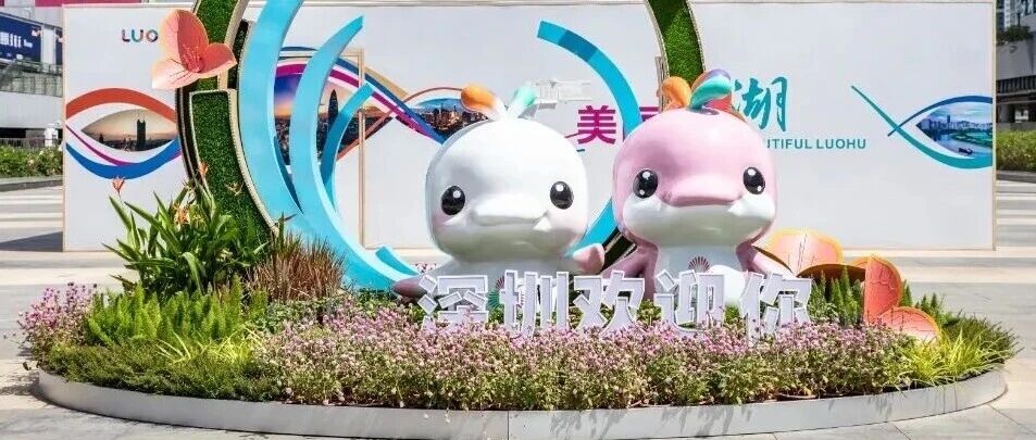 是“大灣雞”魔法，還是“數(shù)字及廣告標識”行業(yè)新秘籍？